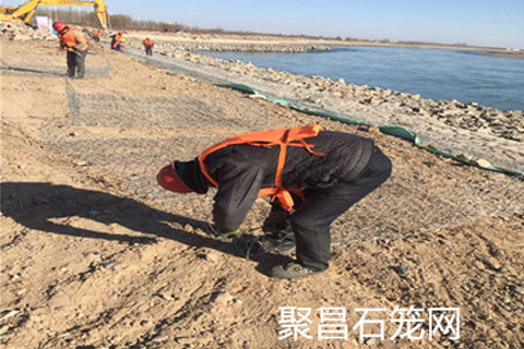 應用案例